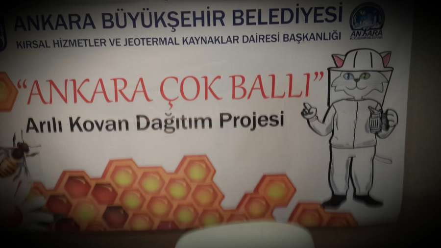 ANKARA COK BALLİ